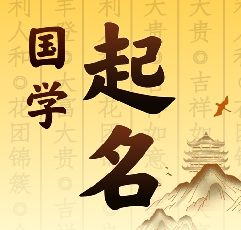 资阳国学起名 人工起名一对一